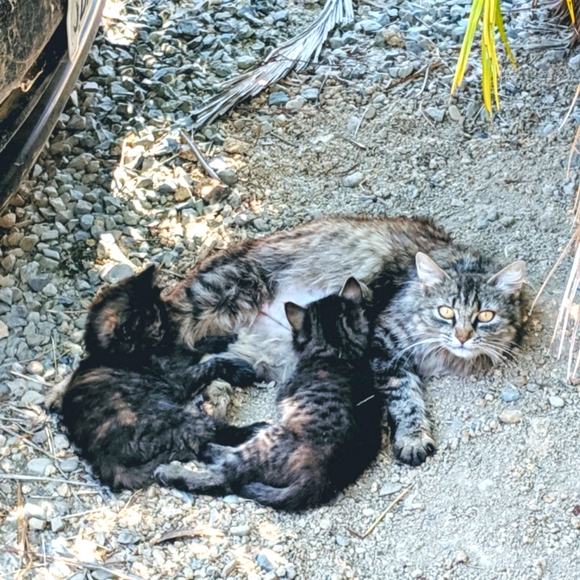 Meet your Posher, Christine - Picture 11 of 14